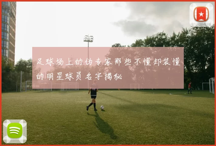 足球场上的伪专家那些不懂却装懂的明星球员名字揭秘
