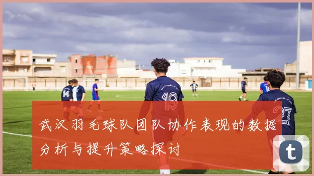 武汉羽毛球队团队协作表现的数据分析与提升策略探讨