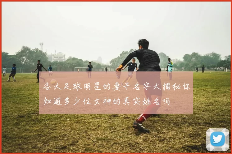 各大足球明星的妻子名字大揭秘你知道多少位女神的真实姓名吗