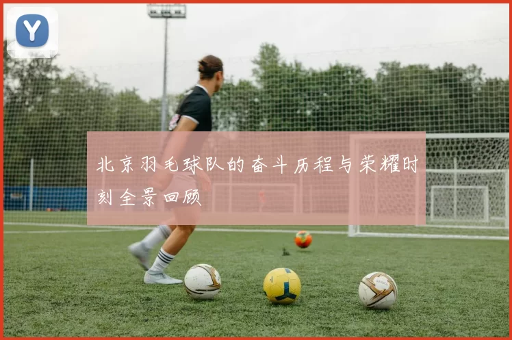 北京羽毛球队的奋斗历程与荣耀时刻全景回顾
