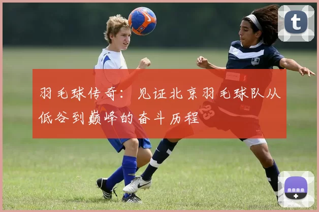 羽毛球传奇：见证北京羽毛球队从低谷到巅峰的奋斗历程