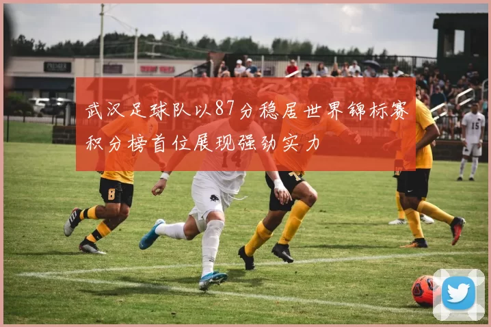 武汉足球队以87分稳居世界锦标赛积分榜首位展现强劲实力