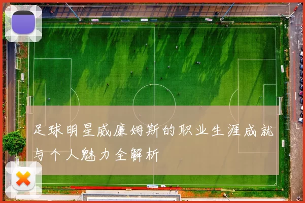足球明星威廉姆斯的职业生涯成就与个人魅力全解析