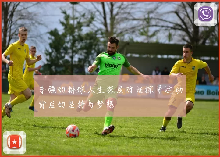 李强的排球人生深度对话探寻运动背后的坚持与梦想