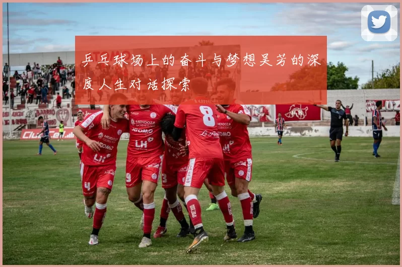 乒乓球场上的奋斗与梦想吴芳的深度人生对话探索