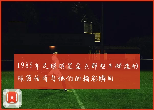 1985年足球明星盘点那些年辉煌的绿茵传奇与他们的精彩瞬间