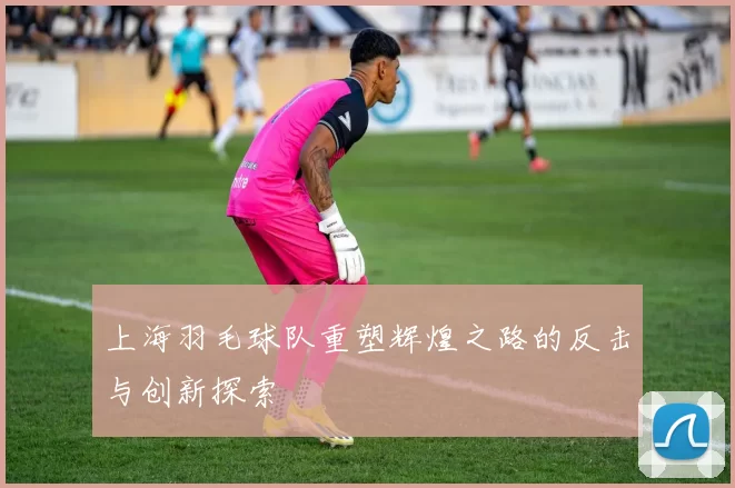上海羽毛球队重塑辉煌之路的反击与创新探索