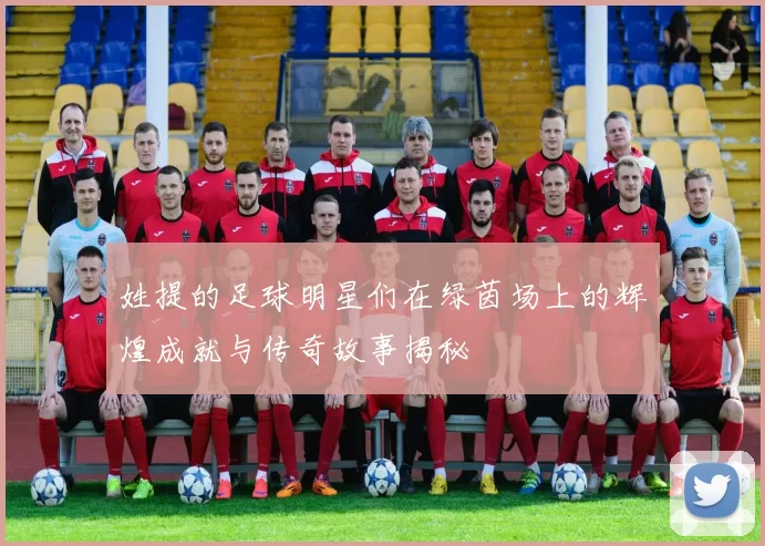 姓提的足球明星们在绿茵场上的辉煌成就与传奇故事揭秘