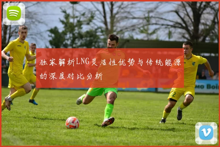 独家解析LNG灵活性优势与传统能源的深度对比分析