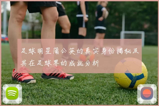 足球明星蒲公英的真实身份揭秘及其在足球界的成就分析