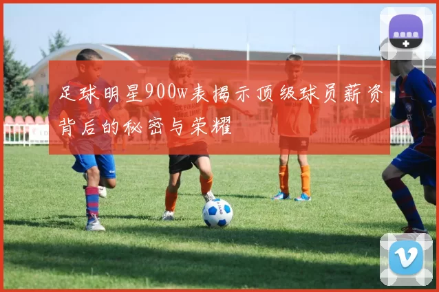 足球明星900w表揭示顶级球员薪资背后的秘密与荣耀