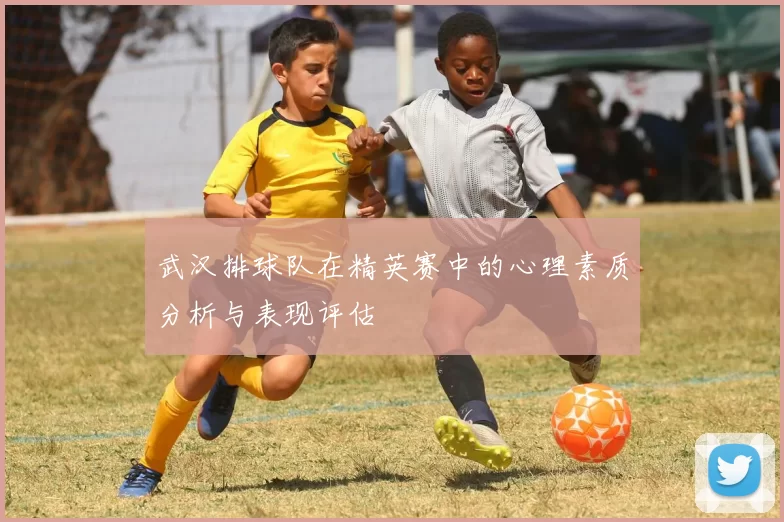 武汉排球队在精英赛中的心理素质分析与表现评估