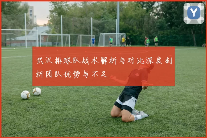 武汉排球队战术解析与对比深度剖析团队优势与不足