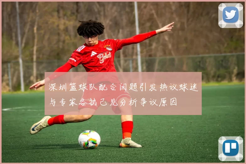 深圳篮球队配合问题引发热议球迷与专家各执己见分析争议原因