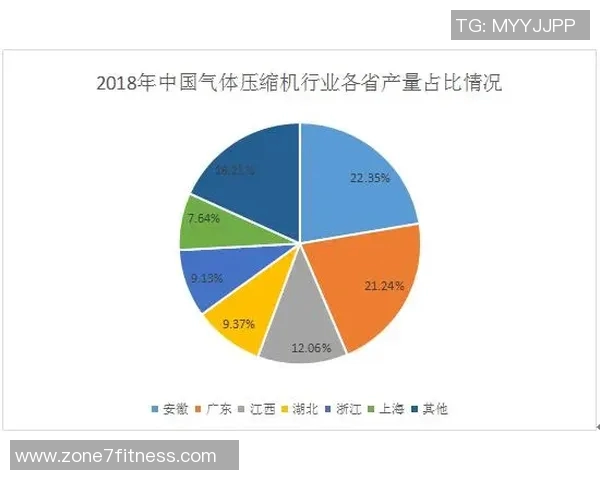 独家解析LNG市场竞争策略与战术对比深度剖析